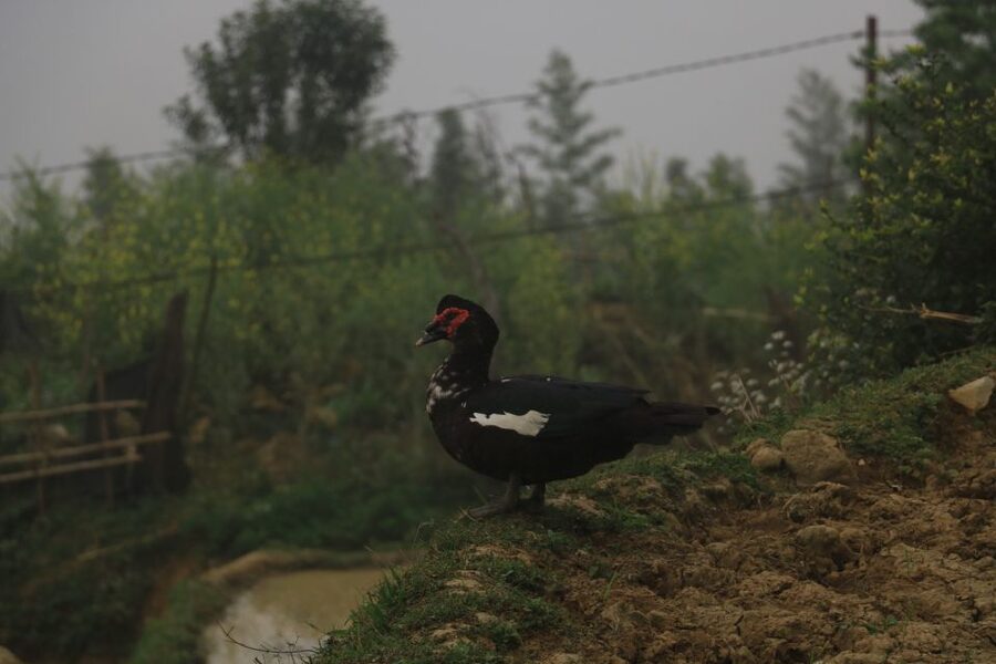 Sapa: Local Exploration on a Guided Motorbike Tour - What to pack for cold mornings and wet mountain roads