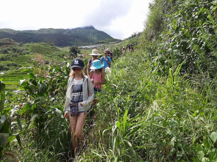Sapa: Love Silver Waterfall, LonelyTree in Heaven-Rice Field - Price and What You Get for Your $62