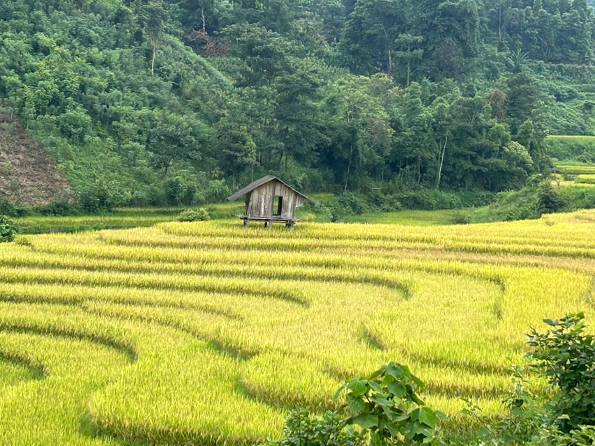 Sapa: Motorbike Tour 1 Day Visit Waterfalls & Local Villages - Muong Hoa Valley villages: terraced fields and the Lao Chai lunch break