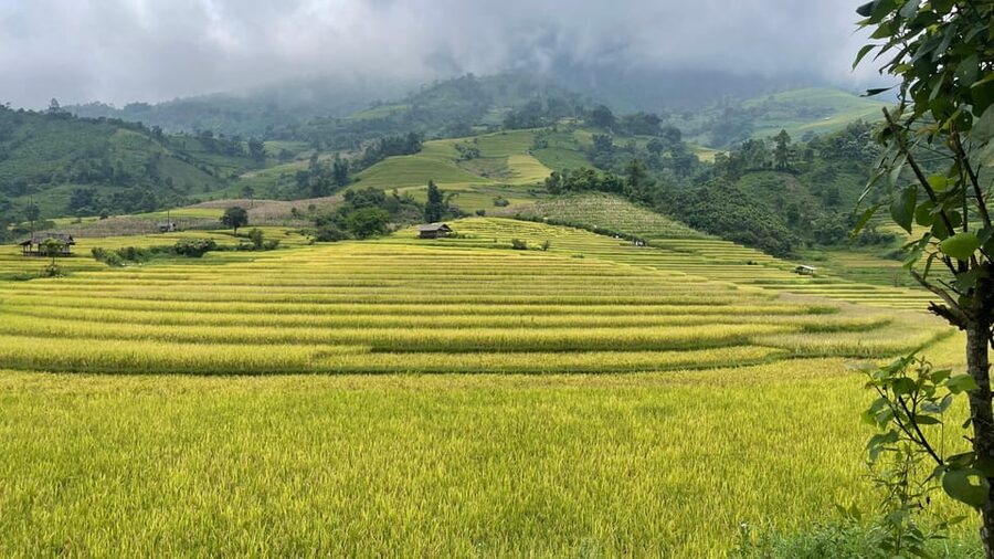 Sapa: Motorbike Tour 1 Day Visit Waterfalls & Local Villages - Ta Van, Hau Thao, and Su Pan, then back to Sapa