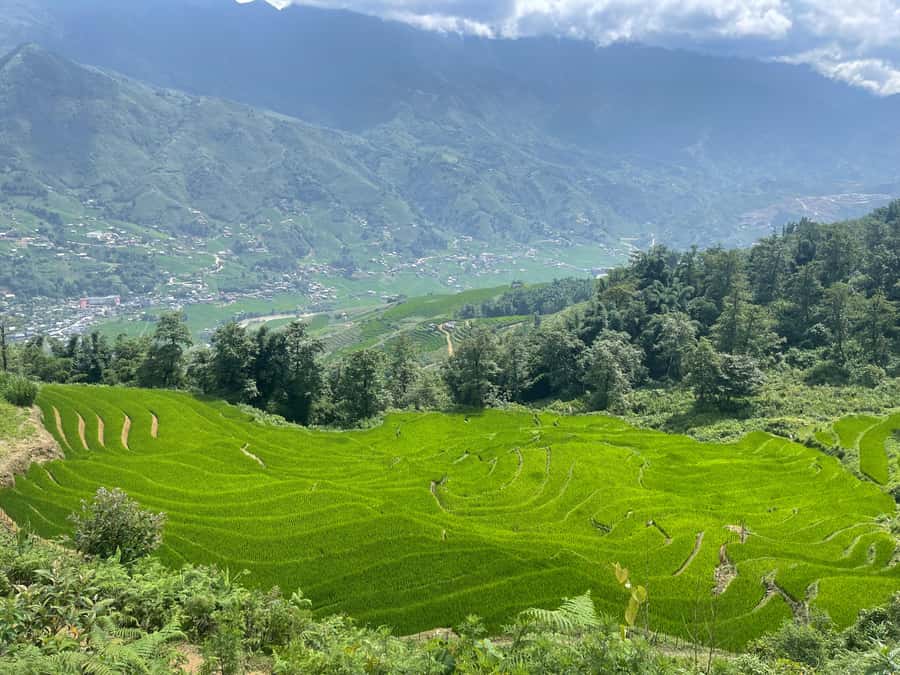 Sapa: Muong Hoa Valley View & Villages Trek with Local Guide - Key Things I’d Watch For Before You Go