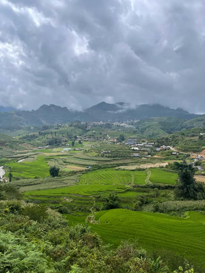 Sapa: Muong Hoa Valley View & Villages Trek with Local Guide - Hang Da Village: Black Hmong Life and Farm Animals