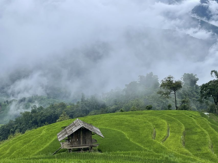 Sapa One Day Motorbike Tour - Cultural time with Black Hmong, Red Dao, and Giay, and why it matters