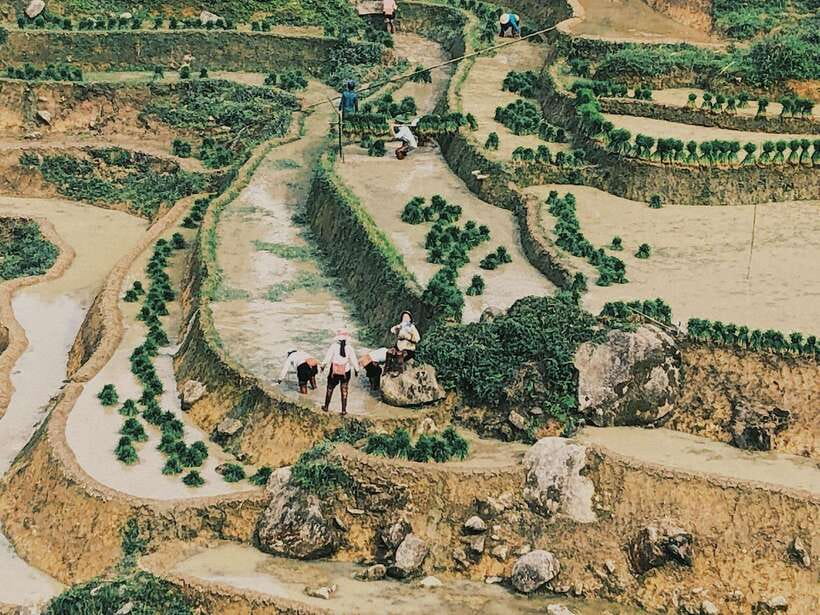 Sapa: Private Highlights Day Tour with Lunch - Why a 7.5-hour Sa Pa highlights day works