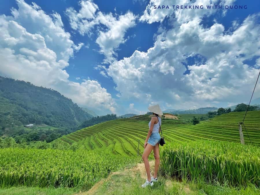 Sapa: Private The Most Beautiful Terraced Fields Trekking - Key Things to Know Before You Walk the Terraces