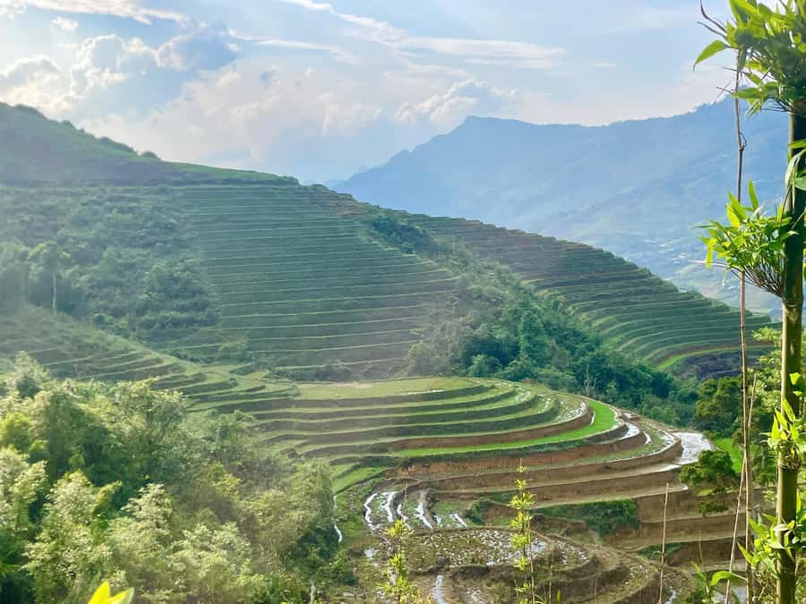 Sapa Trekking Private Tour With Ethnic Female Tour Guide - Price and Value: Why $30 Can Be a Good Deal Here