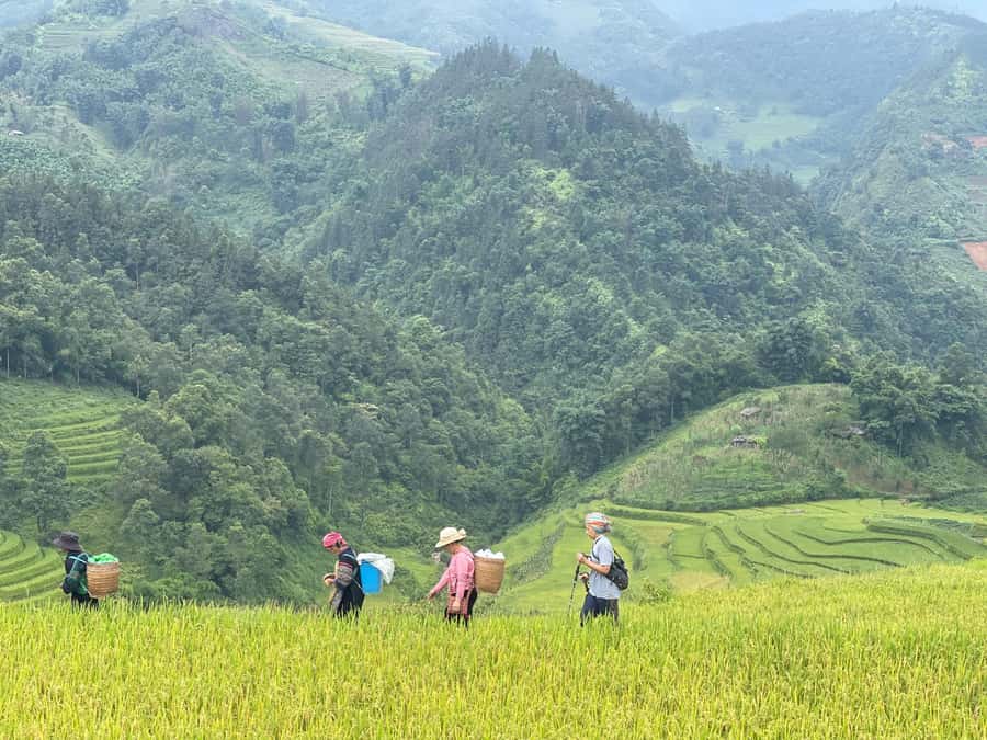 Sapa: Trekking Sapa One Day With Group Tour - Key highlights to know before you go