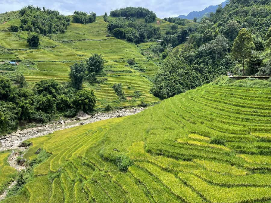 Sapa: Trekking Sapa One Day With Group Tour - What to pack and how to handle weather without stress