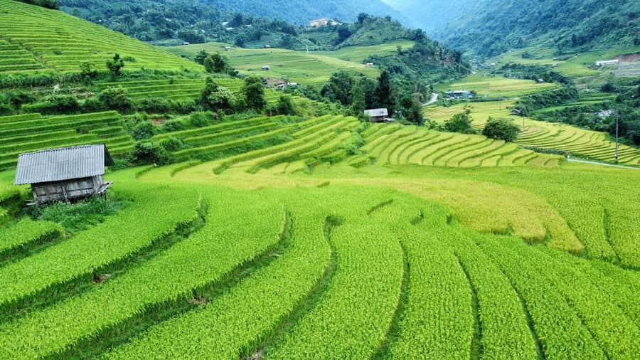 Sapa: Trekking Sapa One Day With Group Tour - From Sapa Cathedral to Muong Hoa Valley, you walk into the real Sapa