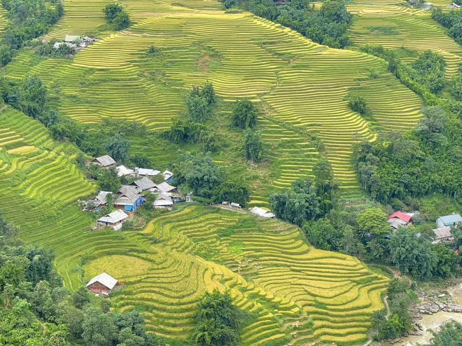 Sapa: Trekking Sapa One Day With Group Tour - Lao Chai Village: rice fields, crafts, and community scale