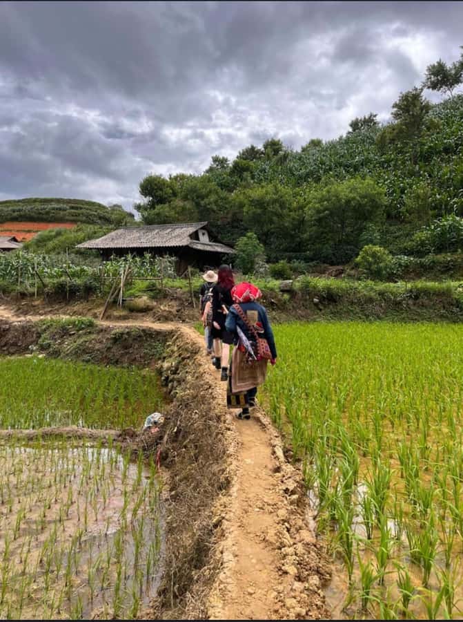 Sapa: Y Linh Ho - Lao Chai, and Ta Van Trekking Day Tour - Food and pace: what the included lunch really means