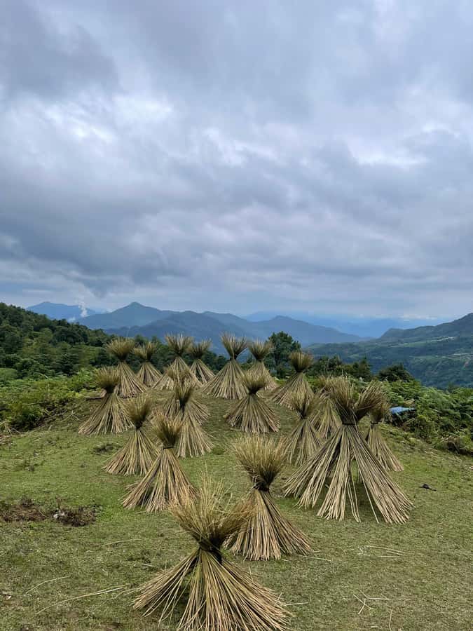 Sapa: Y Linh Ho - Lao Chai, and Ta Van Trekking Day Tour - Y Linh Ho Village: Black Hmong life and weaving you can actually see