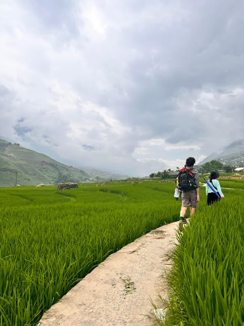 Sapa3D2N TrekkingAdventures,Valleys,Bambooforest,Waterfall - Bamboo forest, rice terraces, and the photo rhythm that keeps you moving