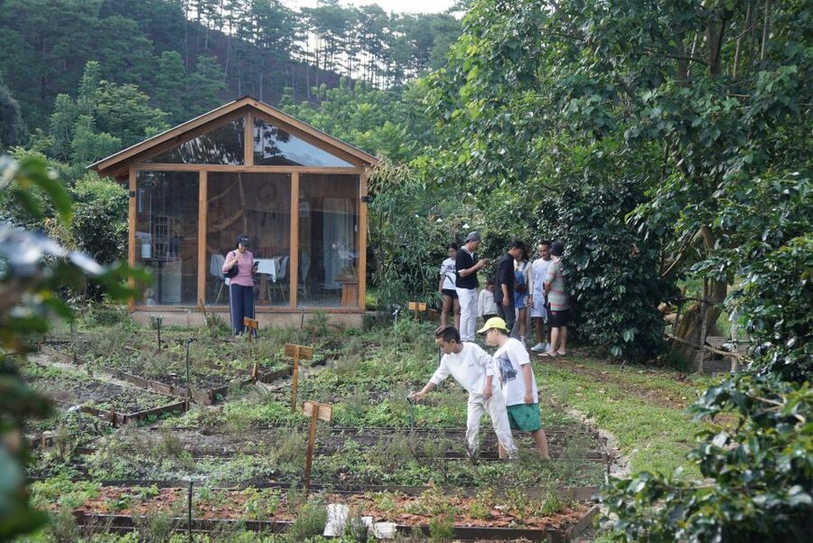 Scented candle workshop at Twin Beans Farm - Da Lat suburb - Getting to Twin Beans Farm from Da Lat, and how to plan your day