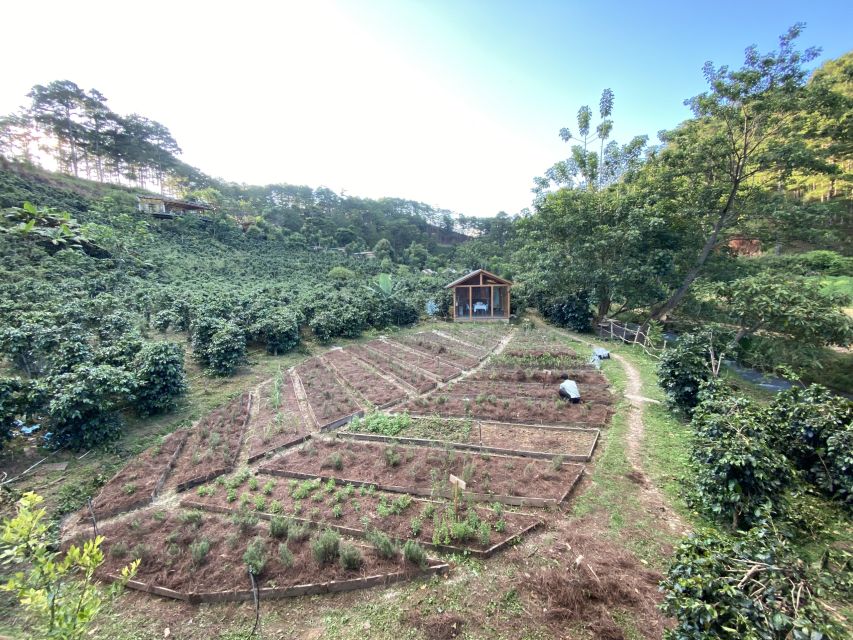 Scented candle workshop at Twin Beans Farm - Da Lat suburb - Instructor style, small group size, and language support