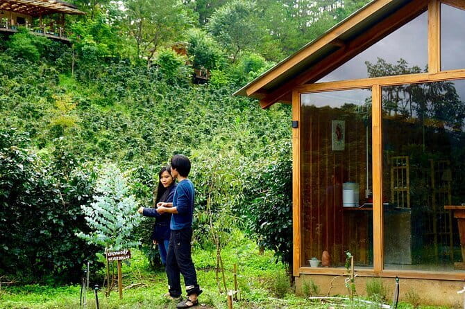 Scented Candle Workshop in Twin Beans Farm Da Lat - Herb garden setup: essential oils start on the plants