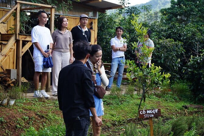 Scented Candle Workshop in Twin Beans Farm Da Lat - Coffee roastery add-ons: pairing your candle with a taste of the farm