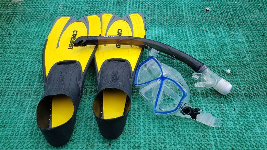Snorkeling Cham Island: Snorkeling Tour by Speed Boat - What You’ll See Underwater: Coral, Fish, and the Occasional Jelly