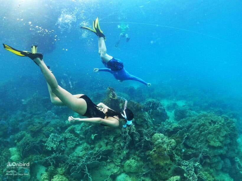 South Phu Quoc: Pro Snorkeling Tour by Speedboat - The 6-hour flow: what happens from boat start to island finish