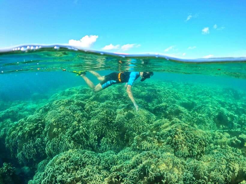 South Phu Quoc: Pro Snorkeling Tour by Speedboat - Coral spots that change daily: why hidden sites matter