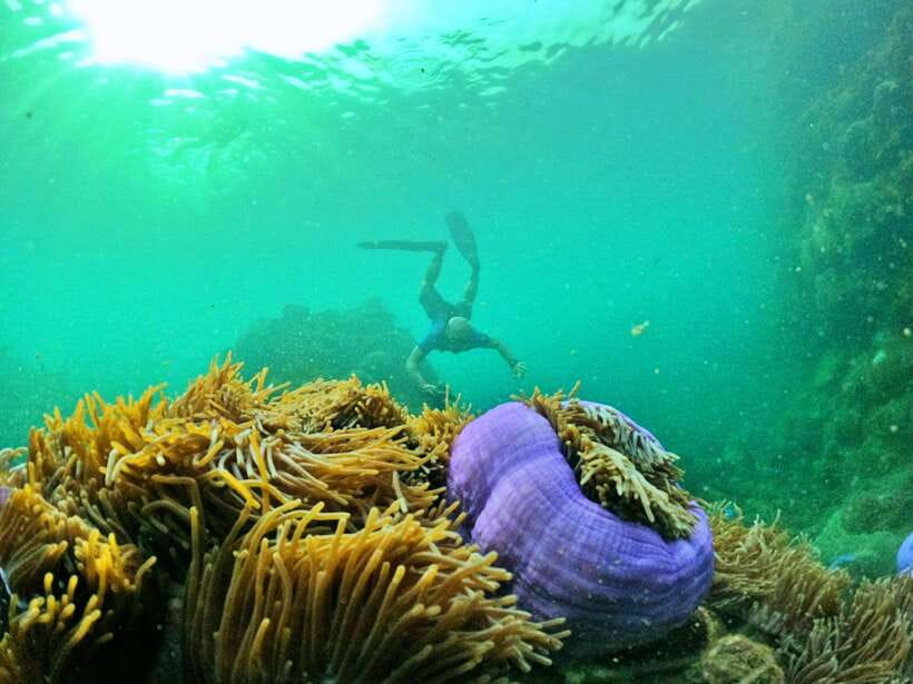 South Phu Quoc: Pro Snorkeling Tour by Speedboat - Safety and conservation rules that feel more than performative