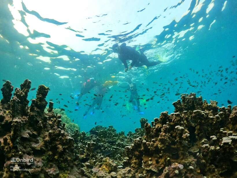 South Phu Quoc: Pro Snorkeling Tour by Speedboat - Who should book (and who should sit this one out)