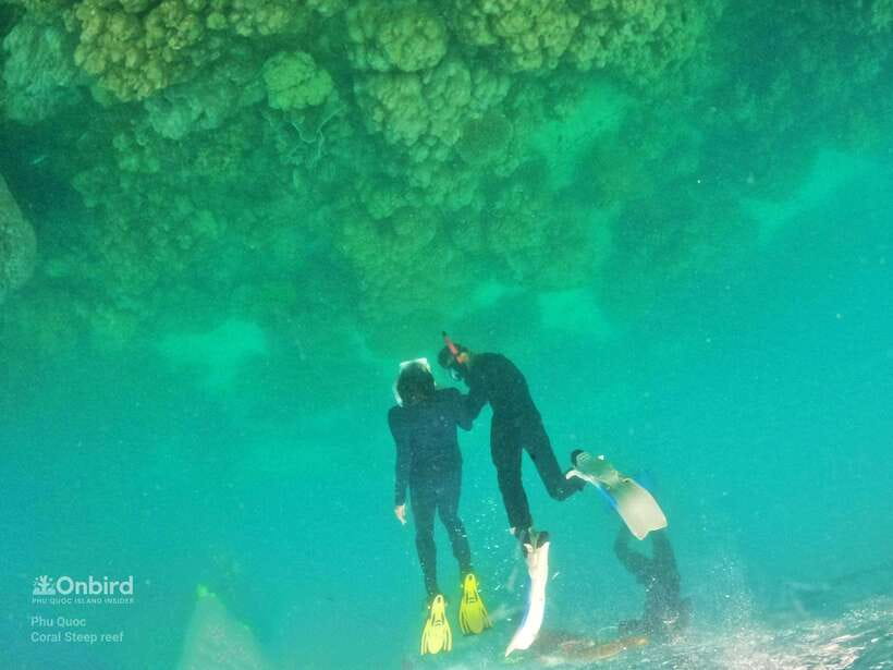 South Phu Quoc: Pro Snorkeling Tour by Speedboat - Should you book South Phu Quoc Pro Snorkeling by Speedboat?