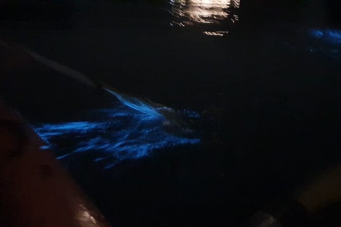 Sunset & Bioluminescent Plankton Kayaking Lan Ha bay - Hanoi pickup to Beo Harbour: how the evening starts