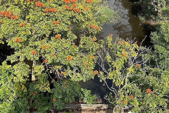 Tour for Nature lover- Lung Ngoc Hoang Nature Reserve in Can Tho - Stop at Lung Ngọc Hoàng: what the reserve visit feels like in real life