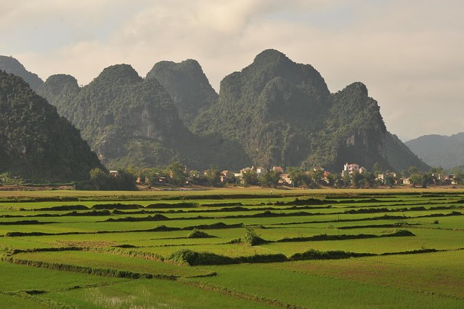 Tour to the caves ONE DAY tour to Phong Nha and Paradise caves - Why This One-Day Cave Run Works From Dong Hoi