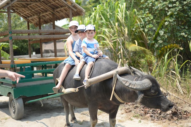 Traditional Cooking Class with Basket Boat Ride and market Tour - Getting picked up, then heading straight into Hoi An flavors