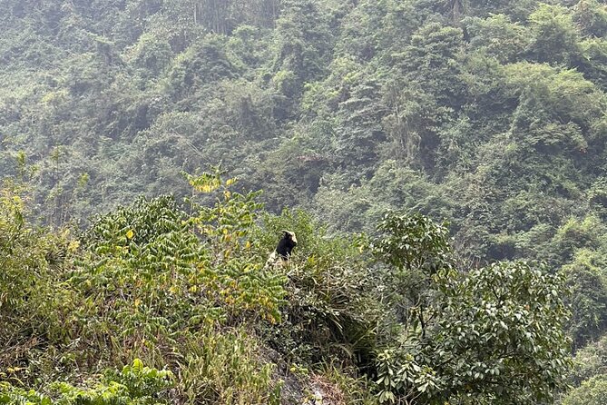 Trekking Ban Gioc Waterfall to Hidden Village on Unique Route - Getting oriented in Cao Bang: timing, transport, and what to expect