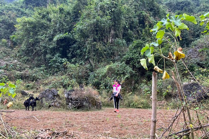 Trekking Ban Gioc Waterfall to Hidden Village on Unique Route - Day 2 breakfast in Cao Bang style: rice paper, duck noodle soup, sour noodle