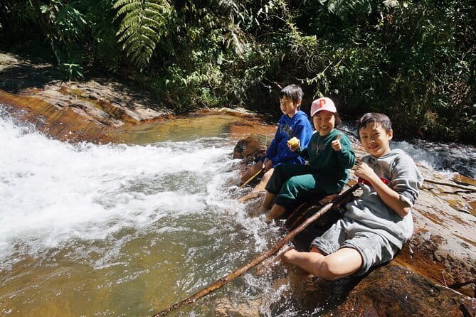 Trekking Tour to Hidden Waterfall & Sturgeon Farm for dog-lovers - Coffee add-ons at the farm: tasty extras if your day allows it