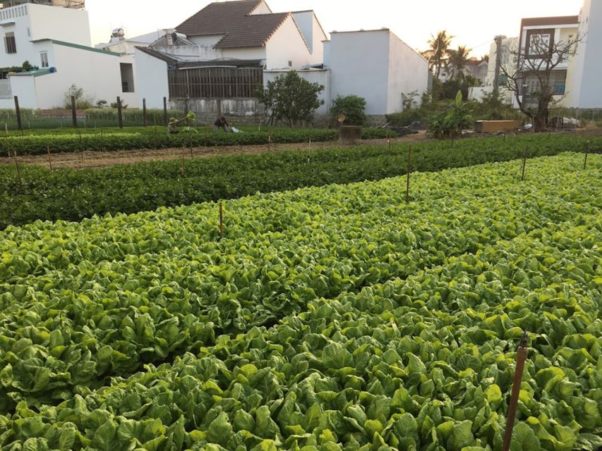 Viet Garden Cooking Class (Countryside and Market tour) - Local coffee culture, including condensed milk and weasel coffee stories